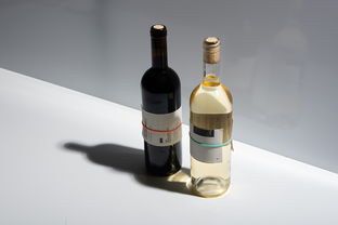 零酒精也能暢飲？探尋即飲型無酒精飲料的新風(fēng)潮